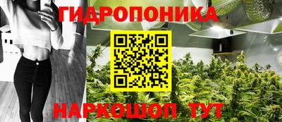 крисы Анжеро-Судженск
