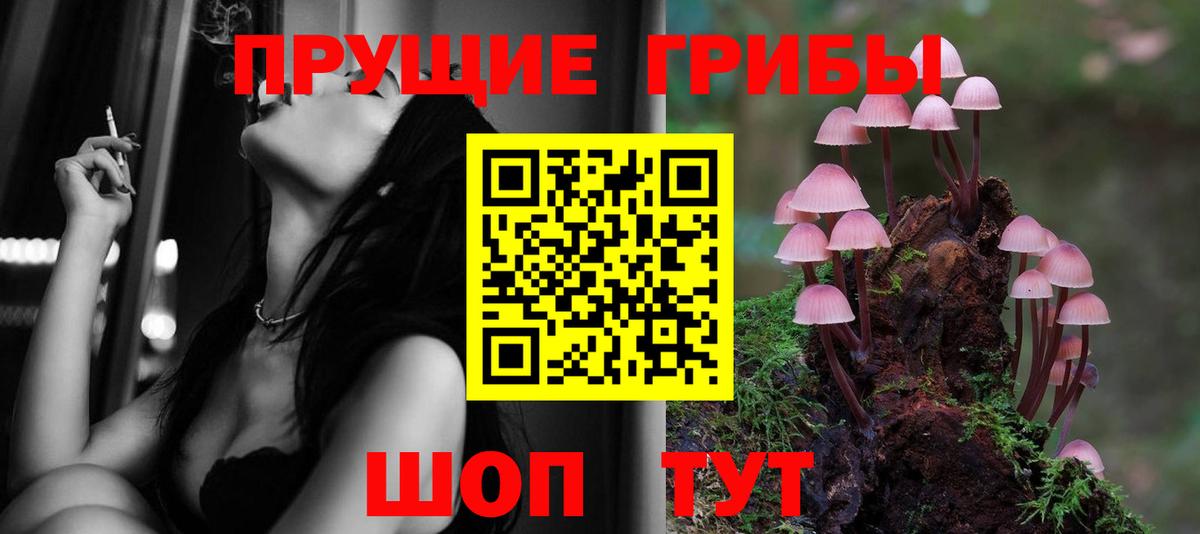 Томск  Псилоцибиновые грибы Cubensis  Вход с VPN 